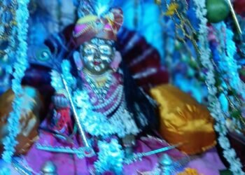 स्वामी हंस कला मंदिर मे आई रौनक