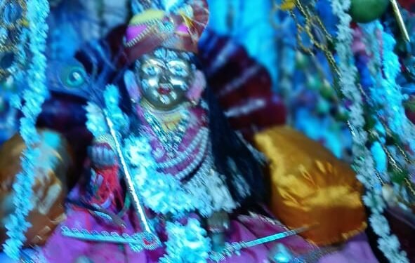 स्वामी हंस कला मंदिर मे आई रौनक