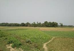 नुक्कड़ नाटक के माध्यम से भागलपुर के किसानों को दी जाएगी विभागीय योजनाओं की जानकारी