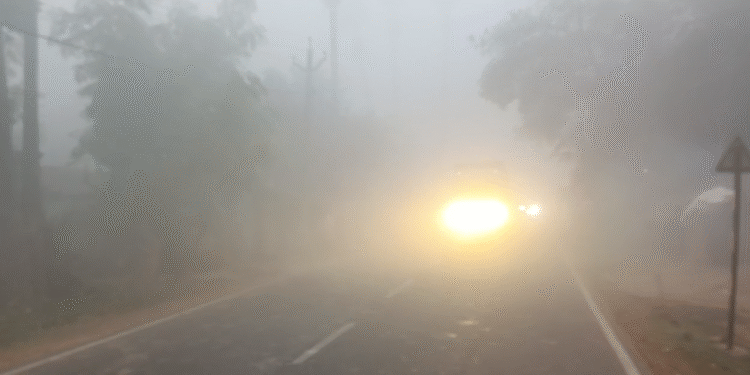 सिल्क सिटी शीतलहर की चपेट में है