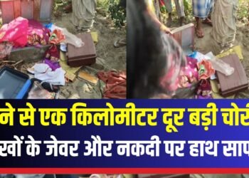 भीषण चोरी:चकडुमारिया गांव में लाखों के जेवरात और नगदी पर चोरों ने किया हाथ साफ